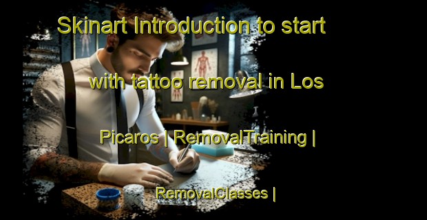 Skinart Introduction to start with tattoo removal in Los Picaros | RemovalTraining | RemovalClasses | SkinartTraining-Mexico